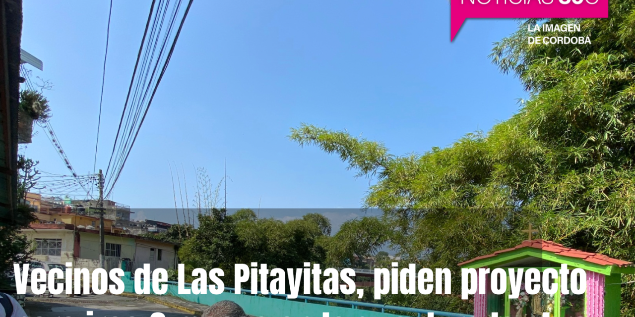 Piden vecinos de Las Pitatiyas, presenten proyecto para irse