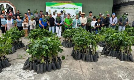 Se entregaron 4 mil plantas de café, a productores de El Porvenir