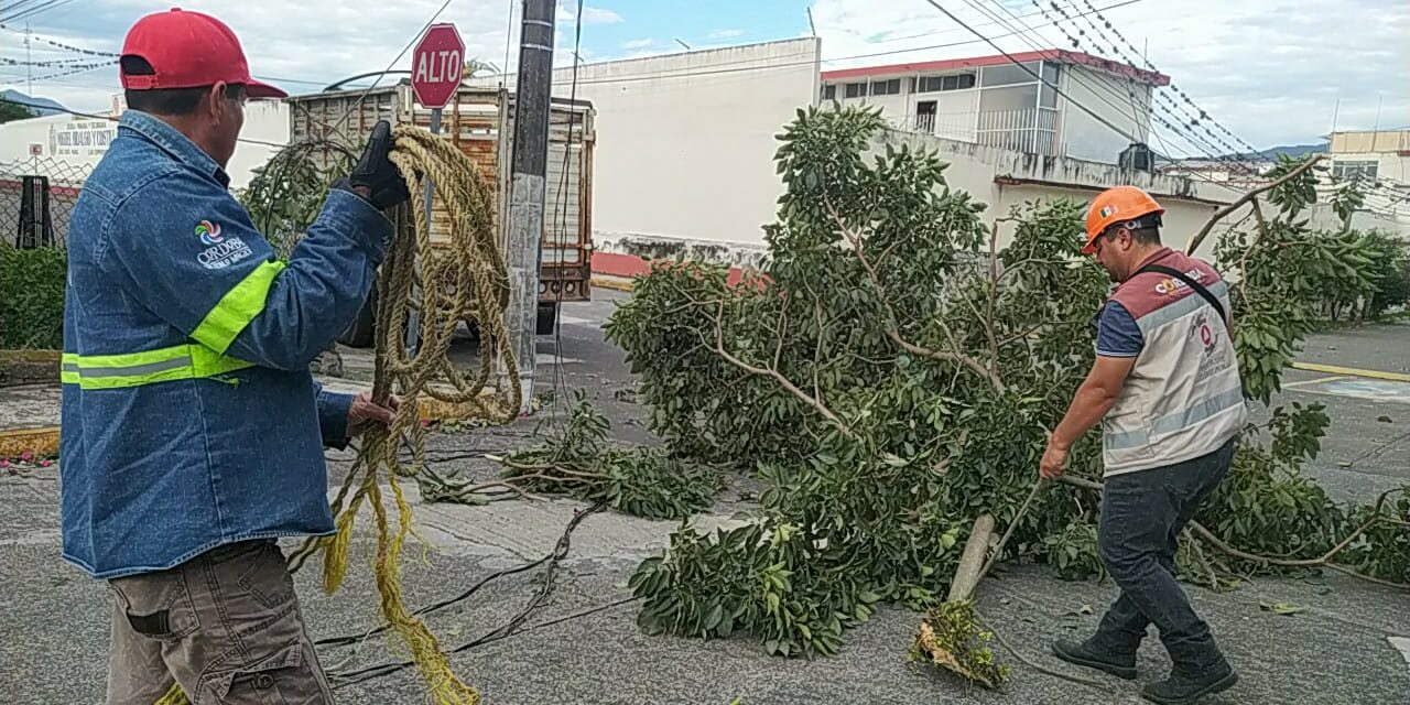 PC atiende daños por Surada en Córdoba