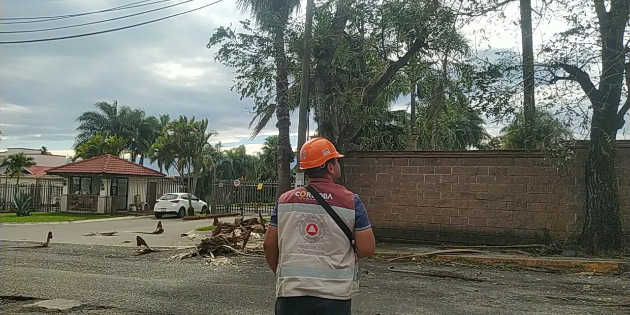 Se registran en Córdoba, afectaciones por surada